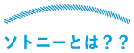 ソトニーとは？？